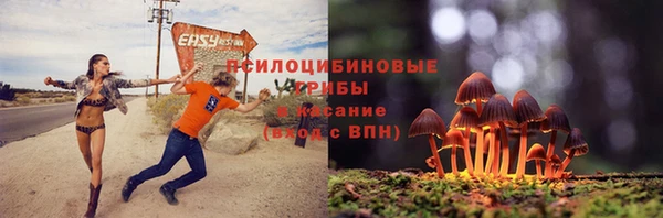 первитин Воткинск