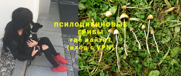 бутират Новодвинск